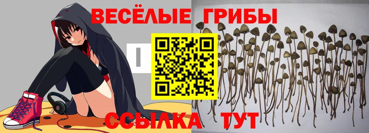 Псилоцибиновые грибы Psilocybine cubensis  магазин  наркотиков  Ноябрьск  Вход с VPN 